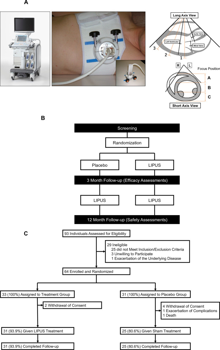 Fig 1