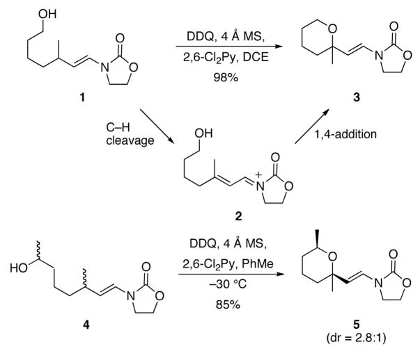 Scheme 2