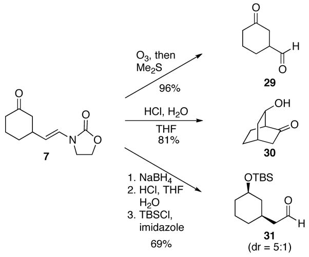 Scheme 5