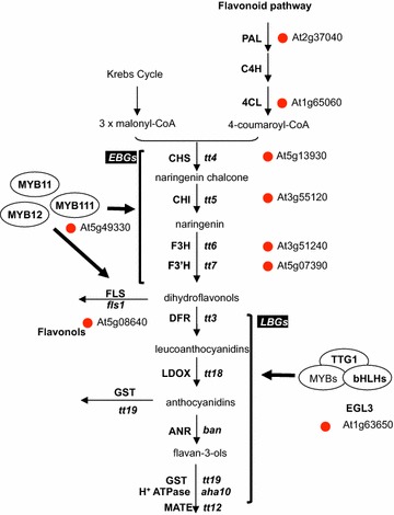 Fig. 6