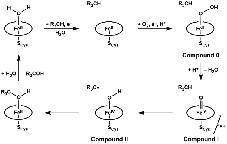 Scheme 2.