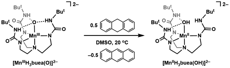 Scheme 7.