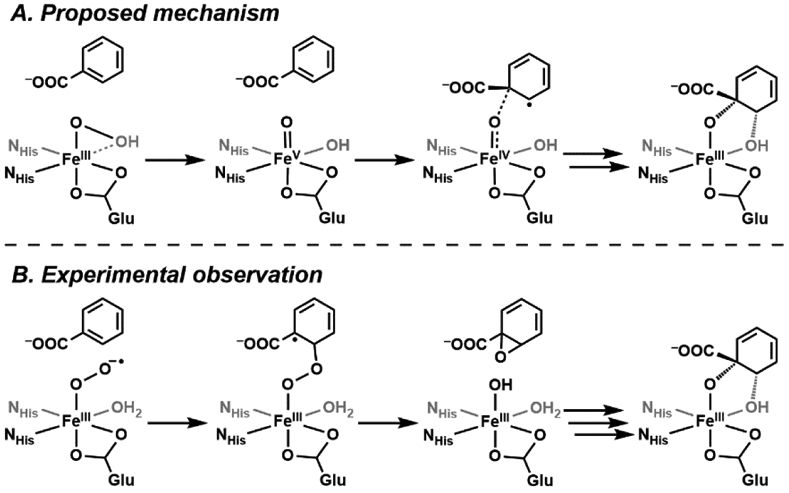 Scheme 8.