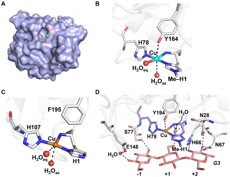 Figure 15.