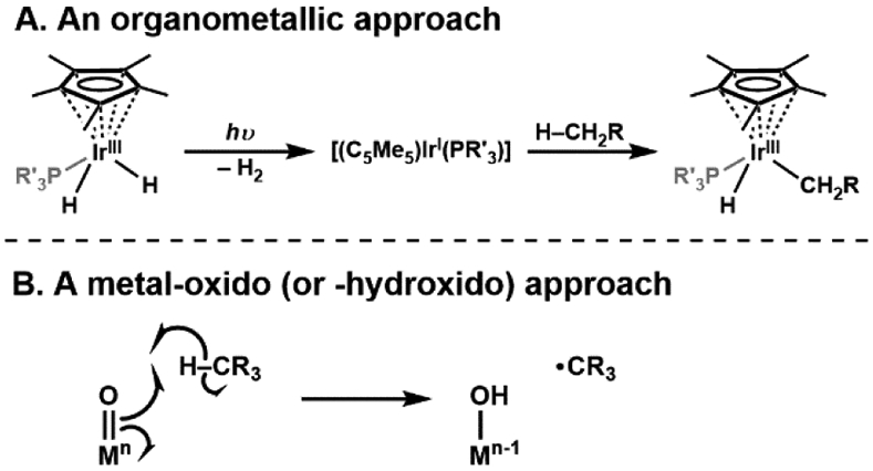 Scheme 1.