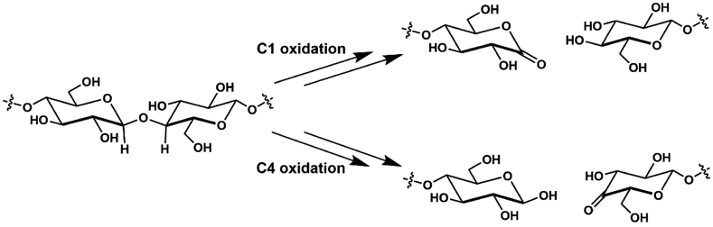 Scheme 9.