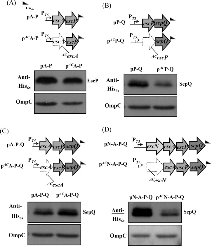 Fig 4