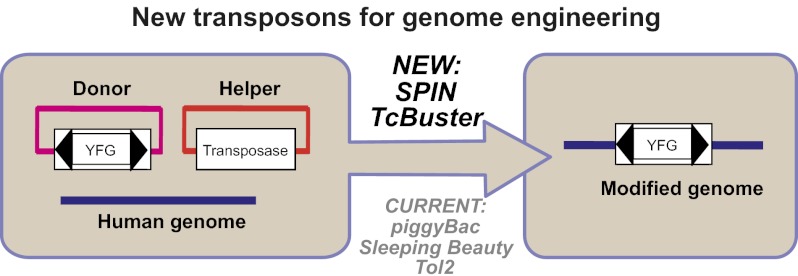 Fig. P1.