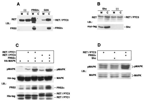 FIG. 6