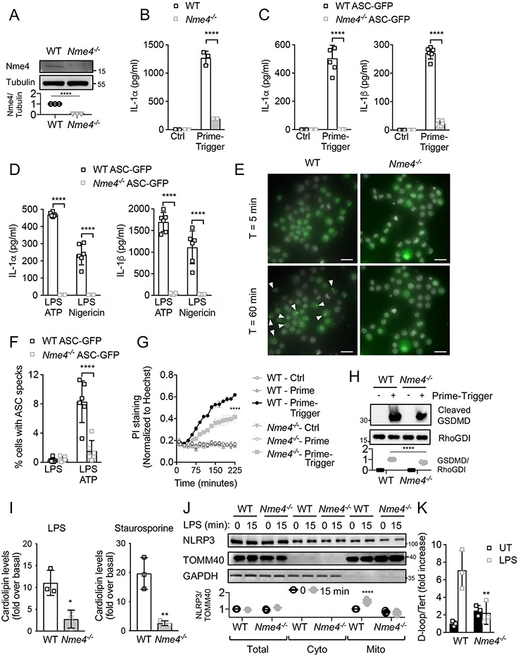 Figure 2: