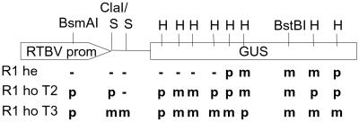 Fig 5.