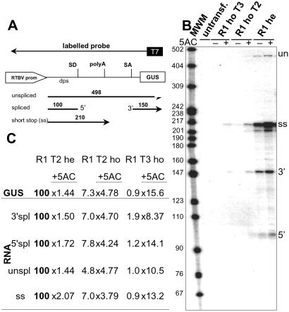 Fig 6.