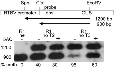 Fig 4.