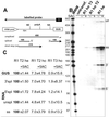 Fig 6.