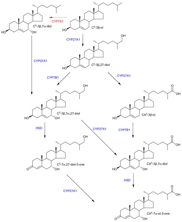 Scheme 3