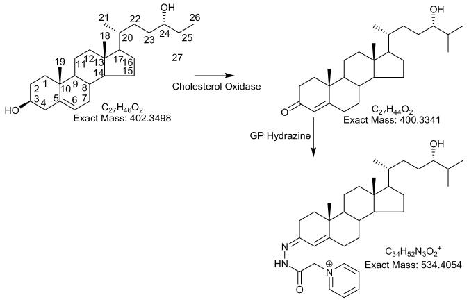 Scheme 2