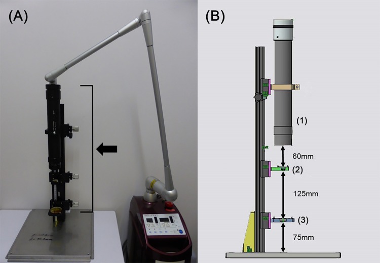 Fig 1