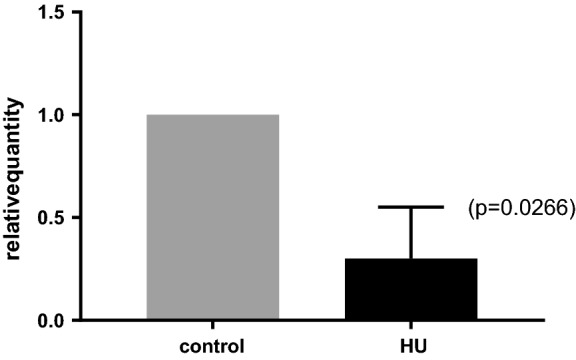 Fig. 4