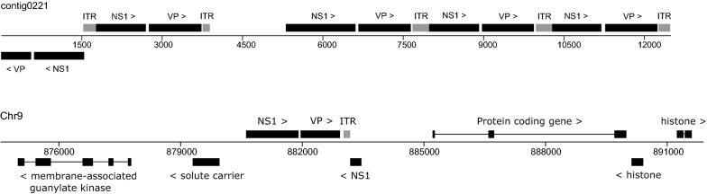 Fig. 2