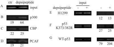 FIG. 7.