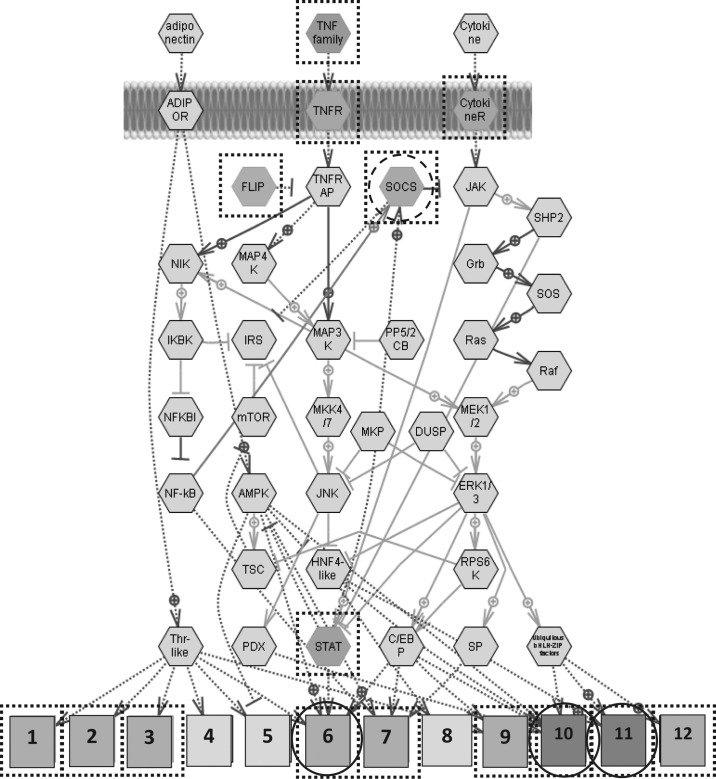 Figure 10