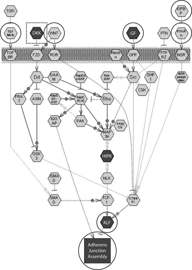 Figure 9