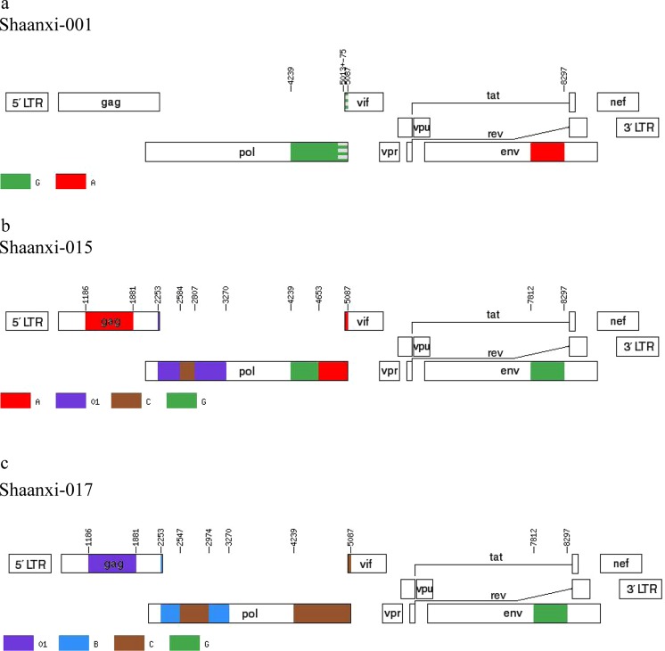 Figure 5