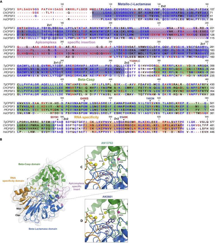 Figure 4