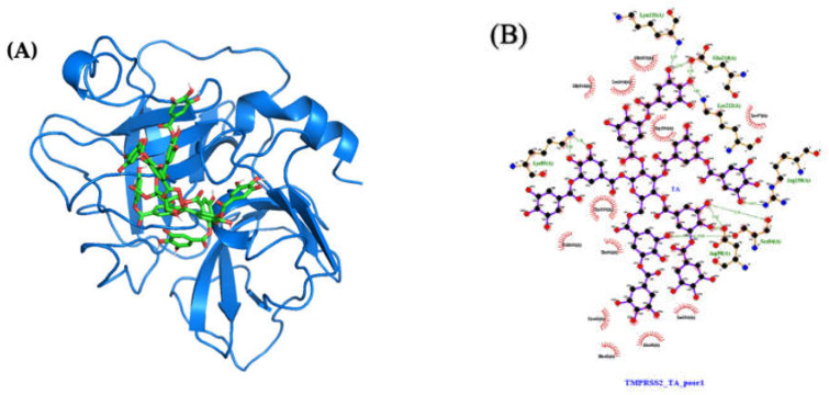 Figure 10