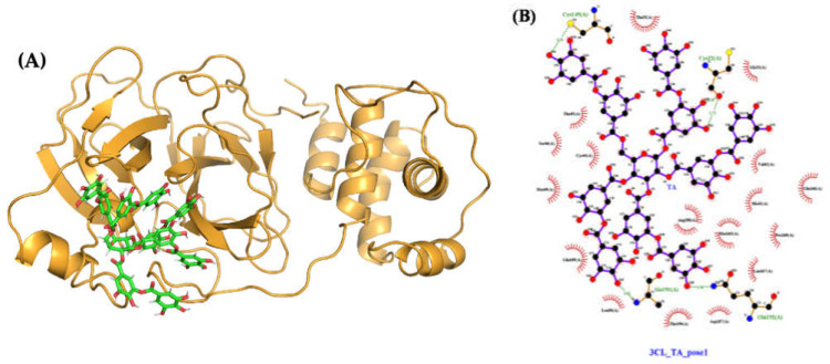 Figure 11