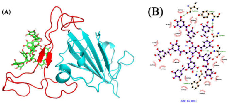 Figure 9