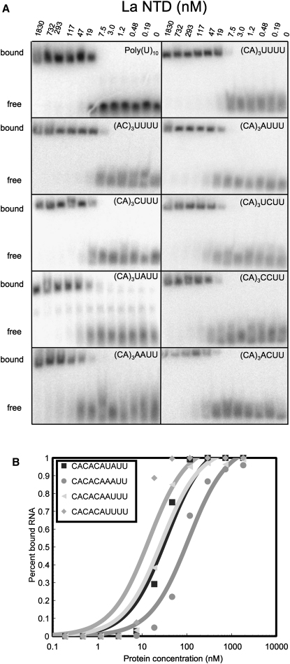 Figure 4