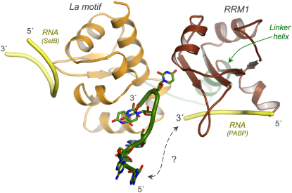 Figure 5