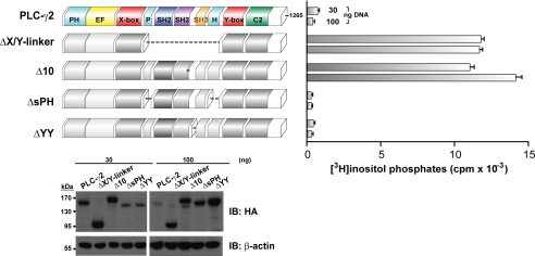 FIGURE 3.