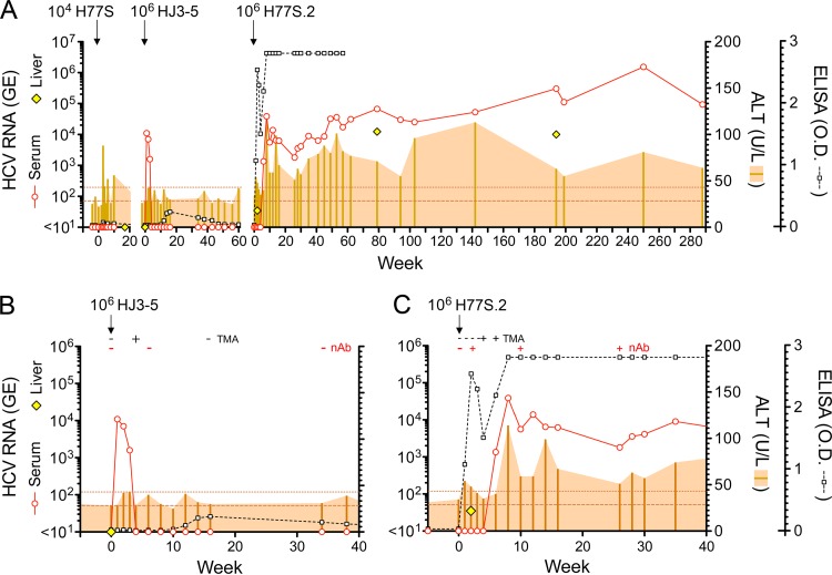 FIG 1