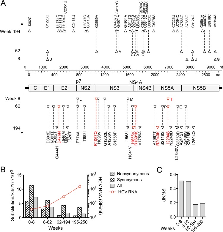 FIG 6