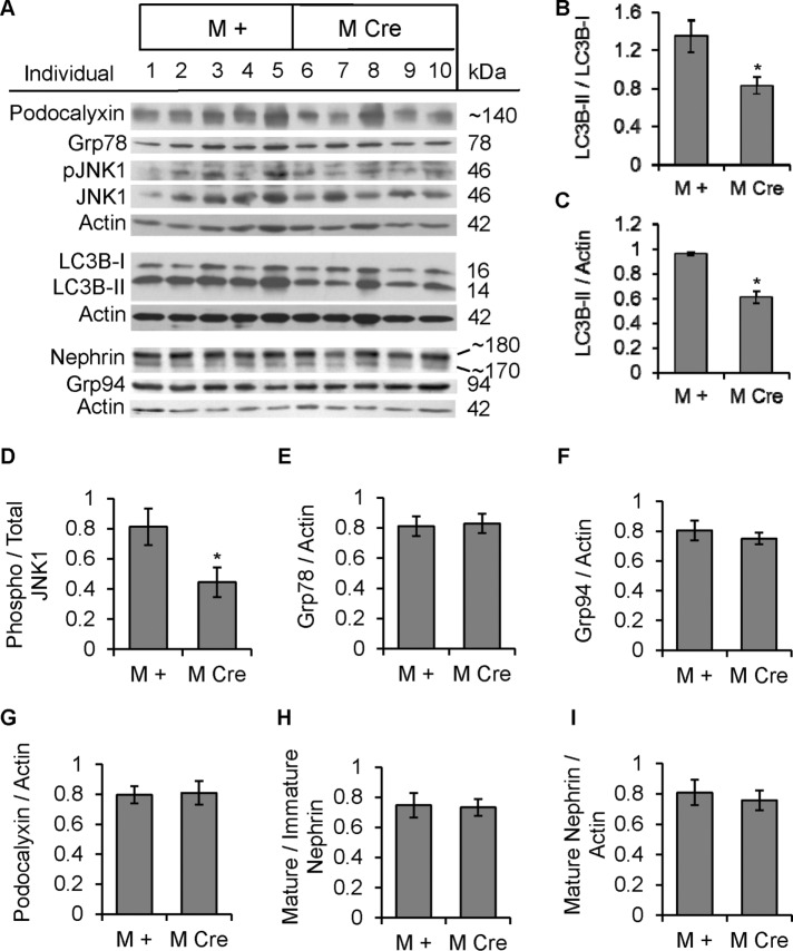 FIGURE 6: