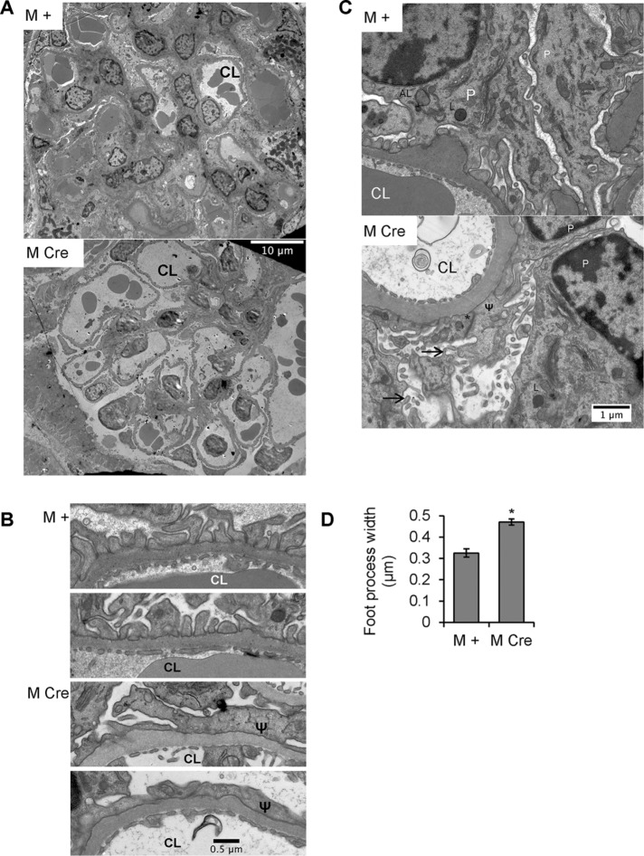 FIGURE 3: