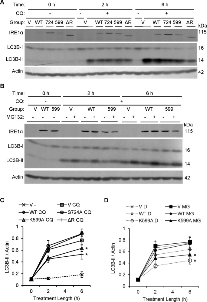 FIGURE 9: