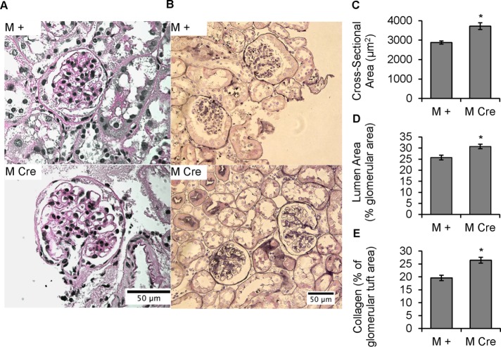 FIGURE 2: