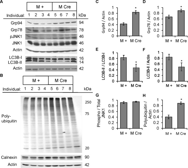 FIGURE 5: