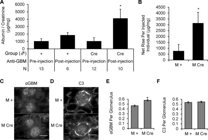 FIGURE 7: