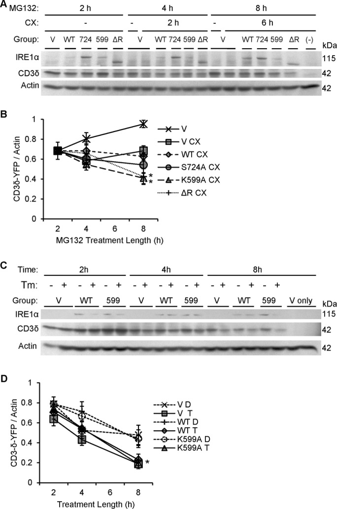 FIGURE 12: