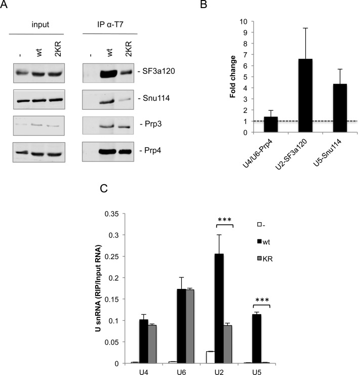 Figure 5.