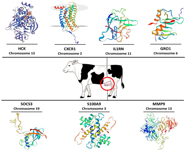 Figure 6