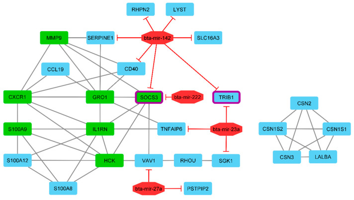 Figure 5