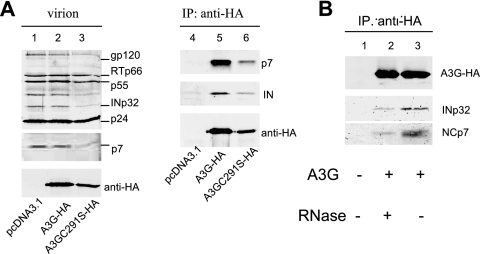 FIG. 4.