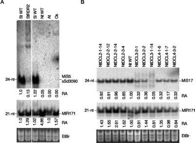 Figure 5.