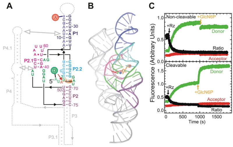 Fig. X.6