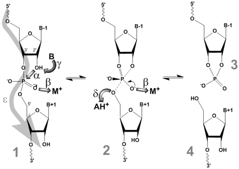 Fig. X.1